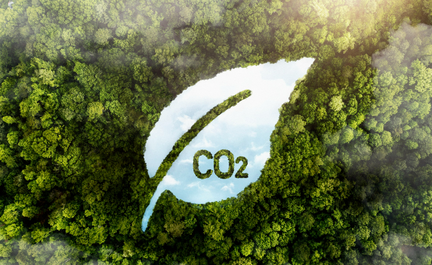 Imagem ilustrando o conteúdo sobre crédito de carbono mostrando uma floresta e, sobre ela, uma imagem em forma de folha com o símbolo CO².