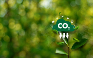Imagem ilustrando o conteúdo sobre o mercado de carbono no Brasil mostrando, de forma lúdica, como funciona o ciclo de carbono.